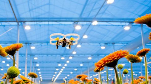 PATS-C est adapté pour gerbera, chrysanthème, phalaenopsis et tomate. © 2019 PATS Indoor Drone Solutions
